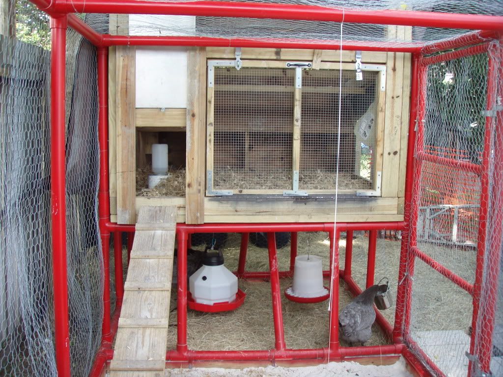 My Urban Backyard Warm Weather Open Air Coop & Run *PIC HEAVY